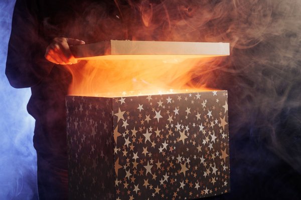 Exploring the hidden treasures of the democrat mystery box